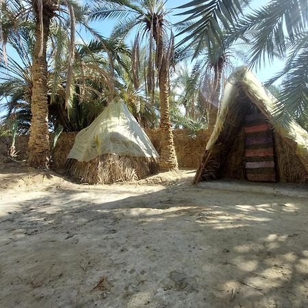 Forest Camp Siwa - كامب الغابة Siwa Oasis Extérieur photo