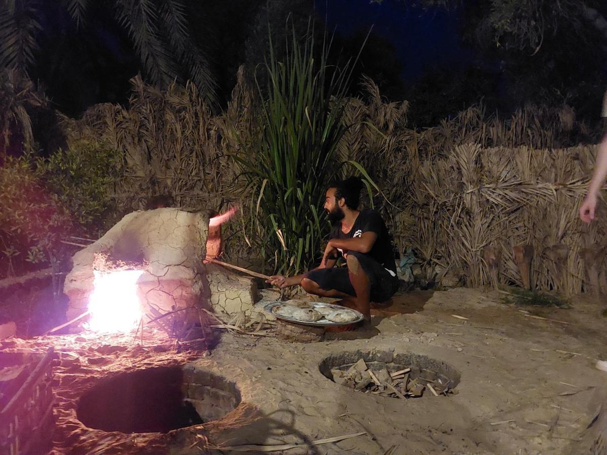 Forest Camp Siwa - كامب الغابة Siwa Oasis Extérieur photo