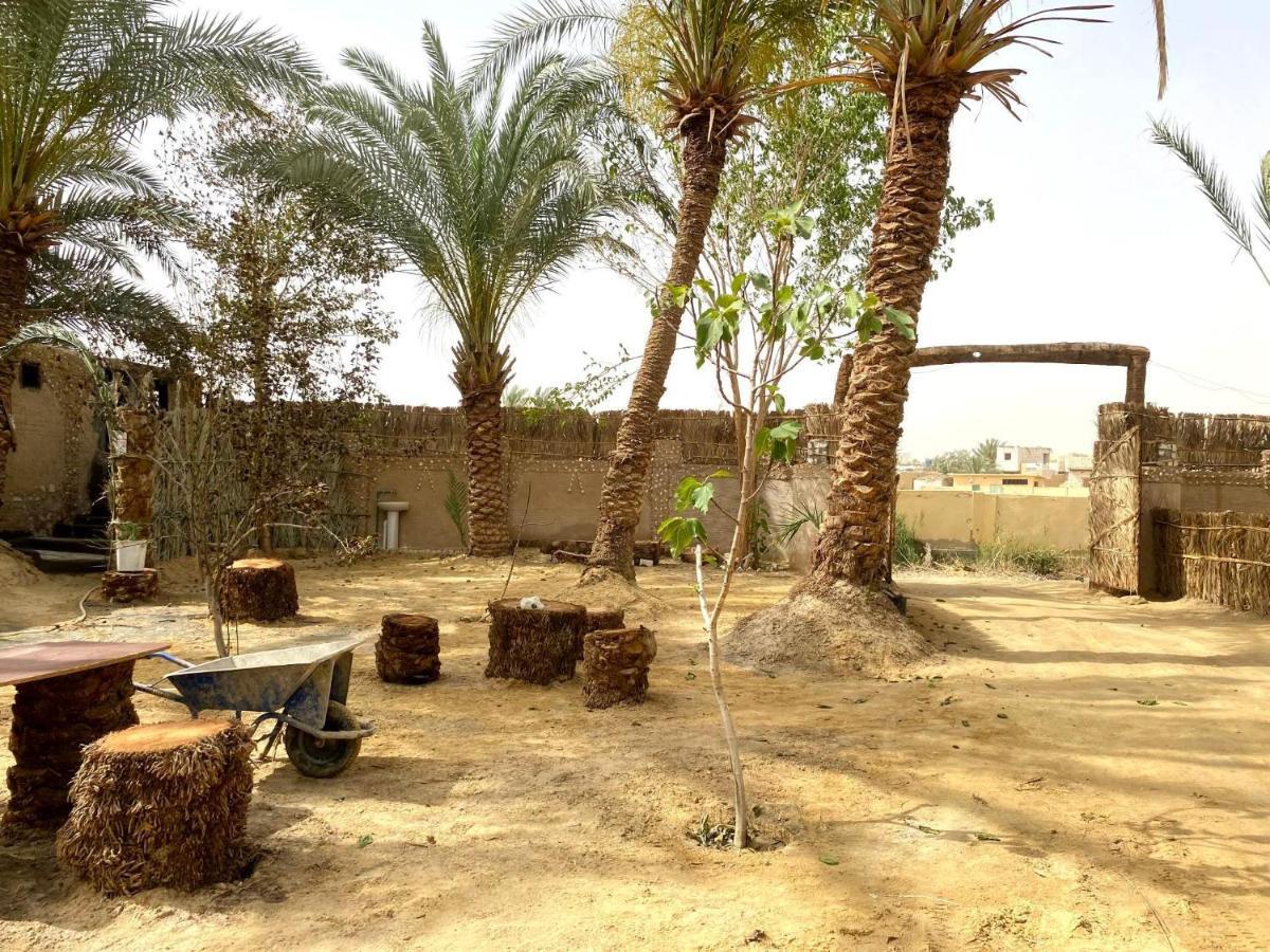 Forest Camp Siwa - كامب الغابة Siwa Oasis Extérieur photo