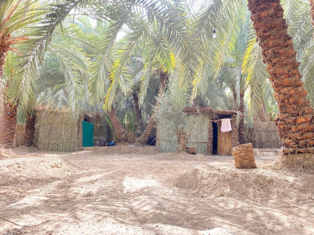 Forest Camp Siwa - كامب الغابة Siwa Oasis Extérieur photo