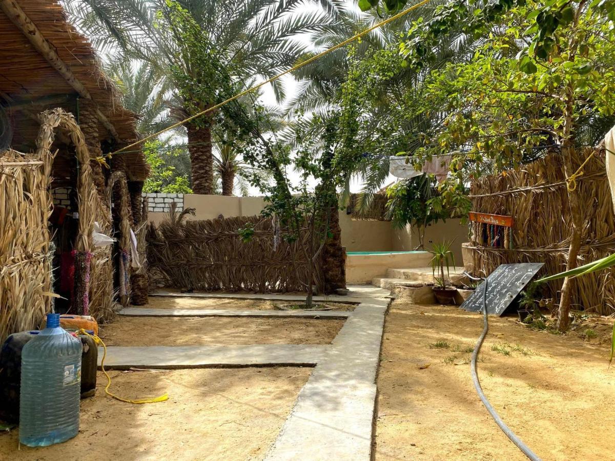 Forest Camp Siwa - كامب الغابة Siwa Oasis Extérieur photo