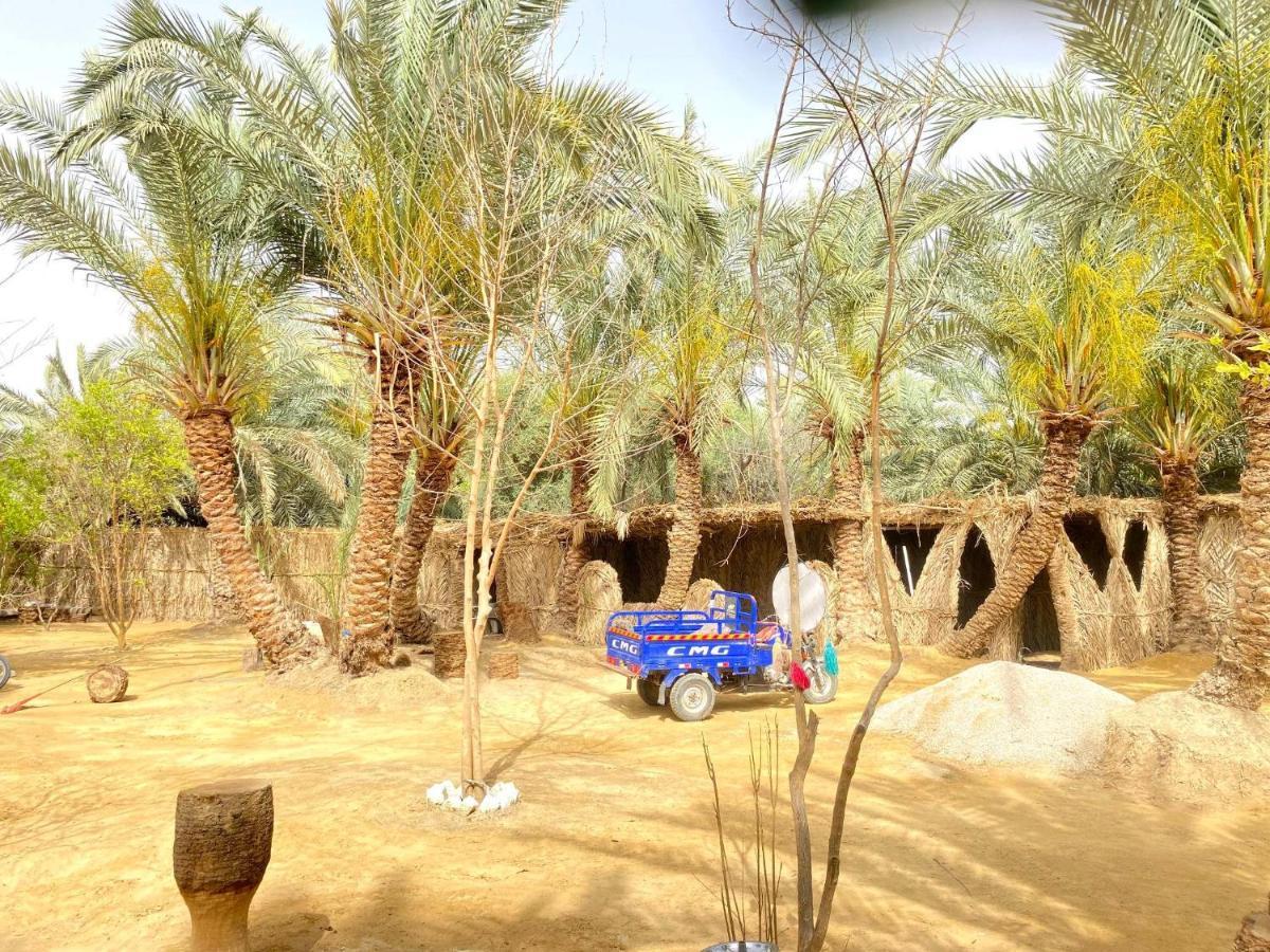 Forest Camp Siwa - كامب الغابة Siwa Oasis Extérieur photo