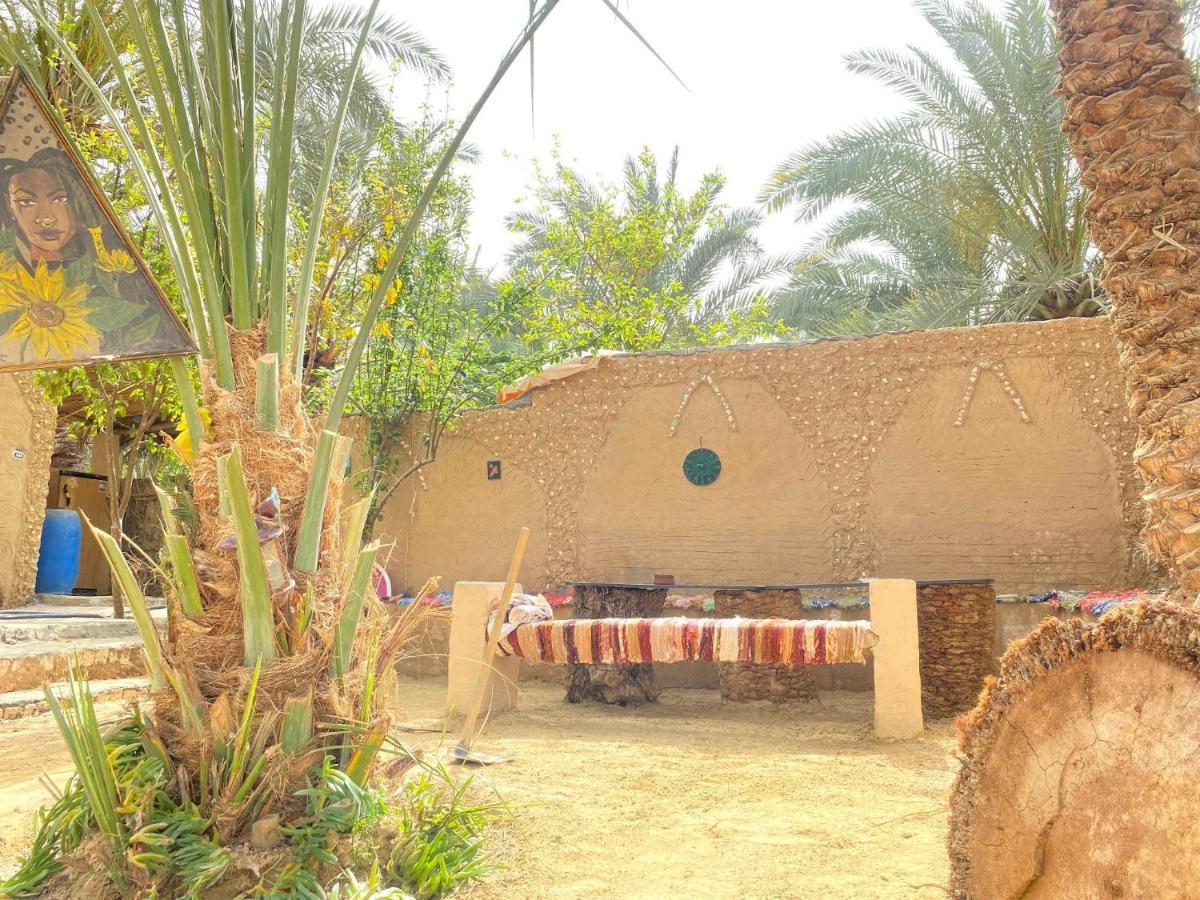Forest Camp Siwa - كامب الغابة Siwa Oasis Extérieur photo