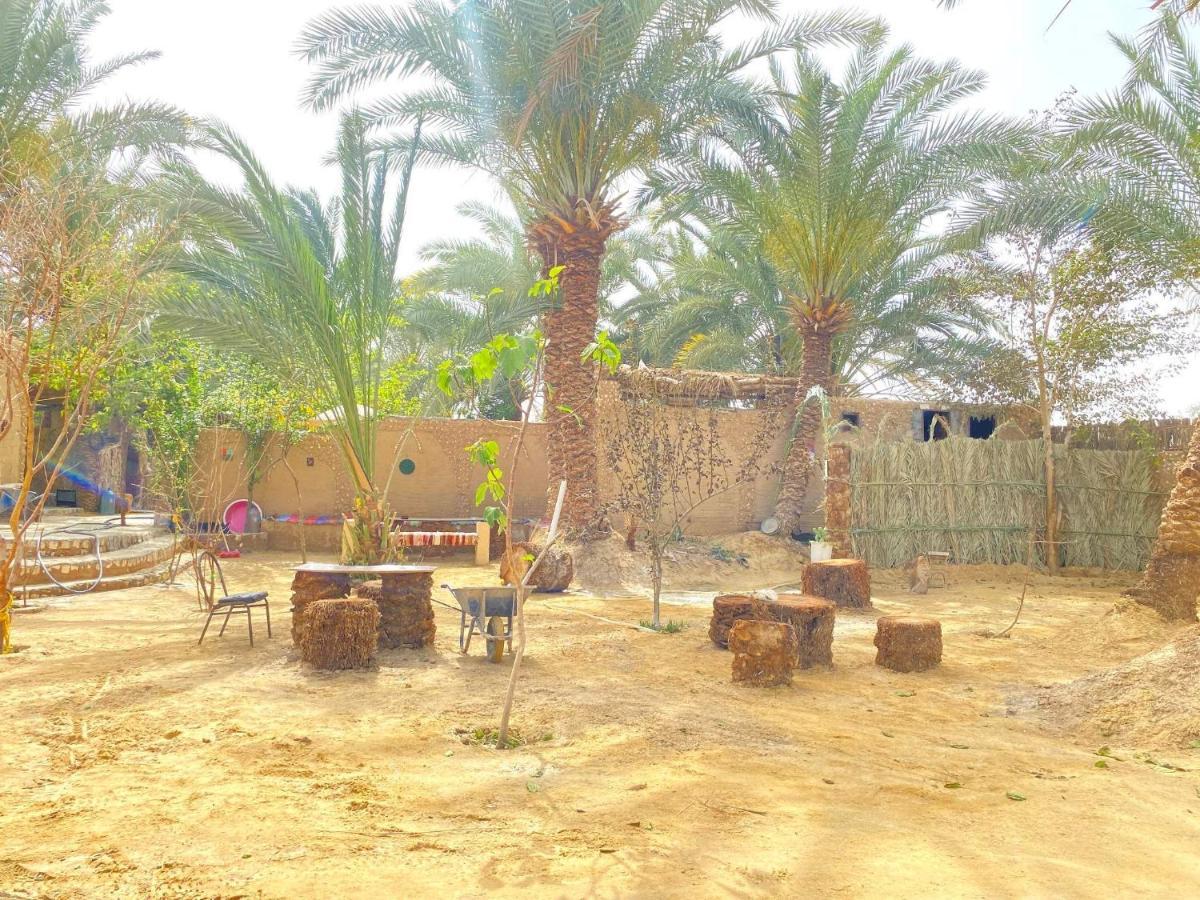 Forest Camp Siwa - كامب الغابة Siwa Oasis Extérieur photo