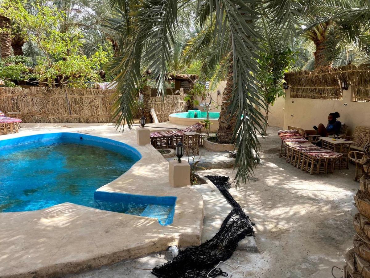 Forest Camp Siwa - كامب الغابة Siwa Oasis Extérieur photo