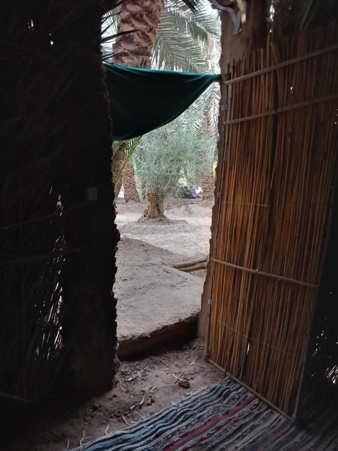 Forest Camp Siwa - كامب الغابة Siwa Oasis Extérieur photo