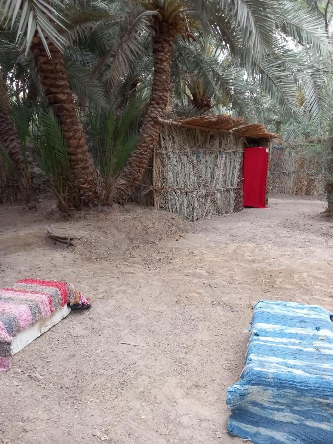 Forest Camp Siwa - كامب الغابة Siwa Oasis Extérieur photo