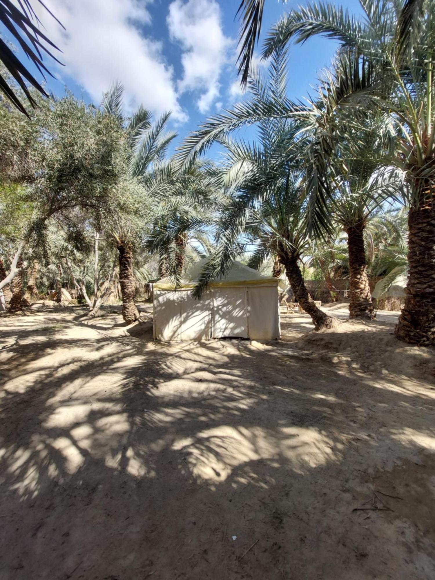 Forest Camp Siwa - كامب الغابة Siwa Oasis Extérieur photo