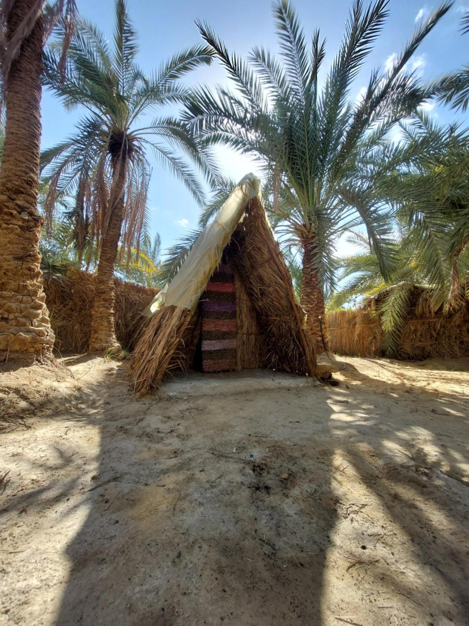 Forest Camp Siwa - كامب الغابة Siwa Oasis Extérieur photo