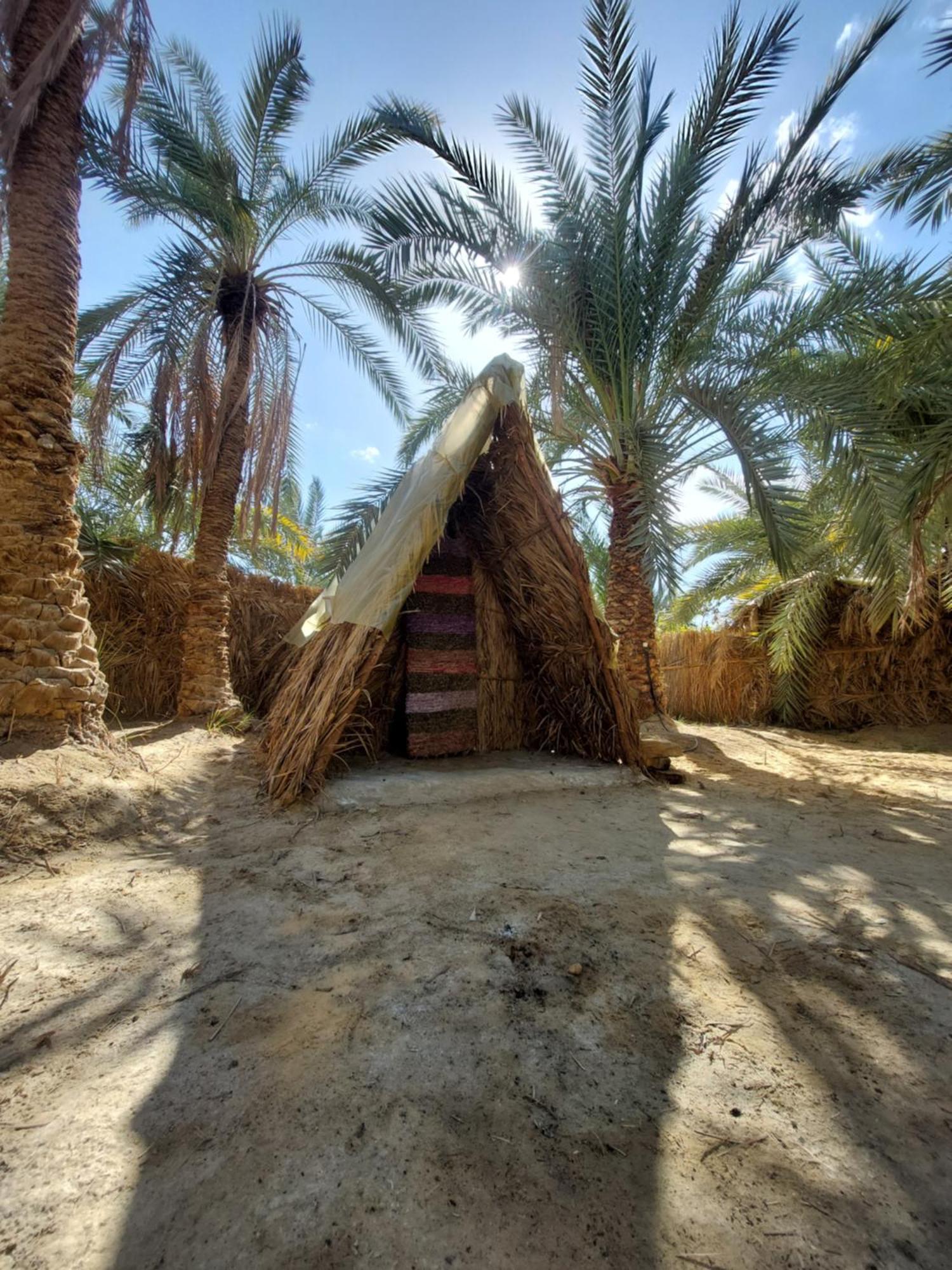 Forest Camp Siwa - كامب الغابة Siwa Oasis Extérieur photo