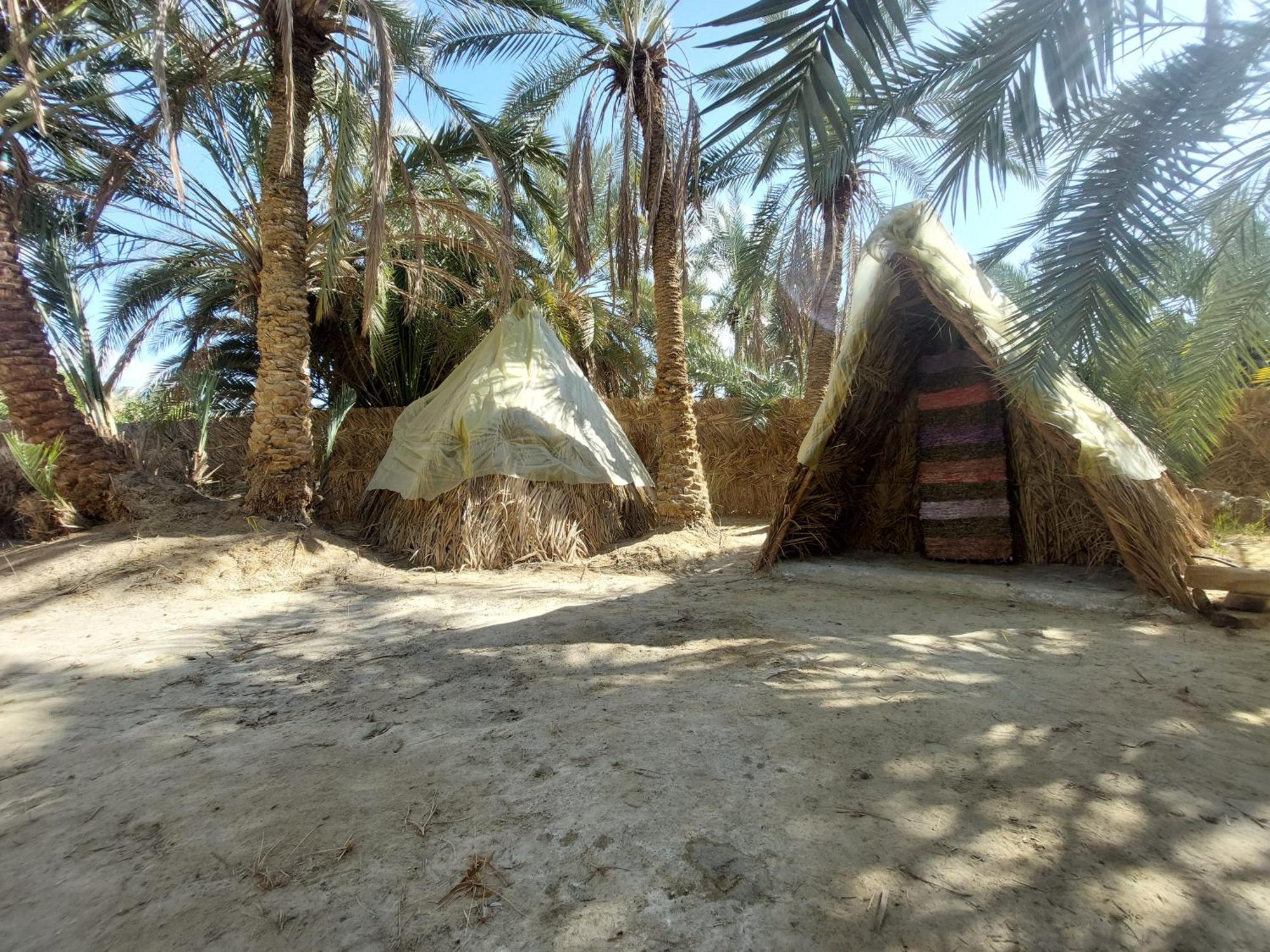 Forest Camp Siwa - كامب الغابة Siwa Oasis Extérieur photo