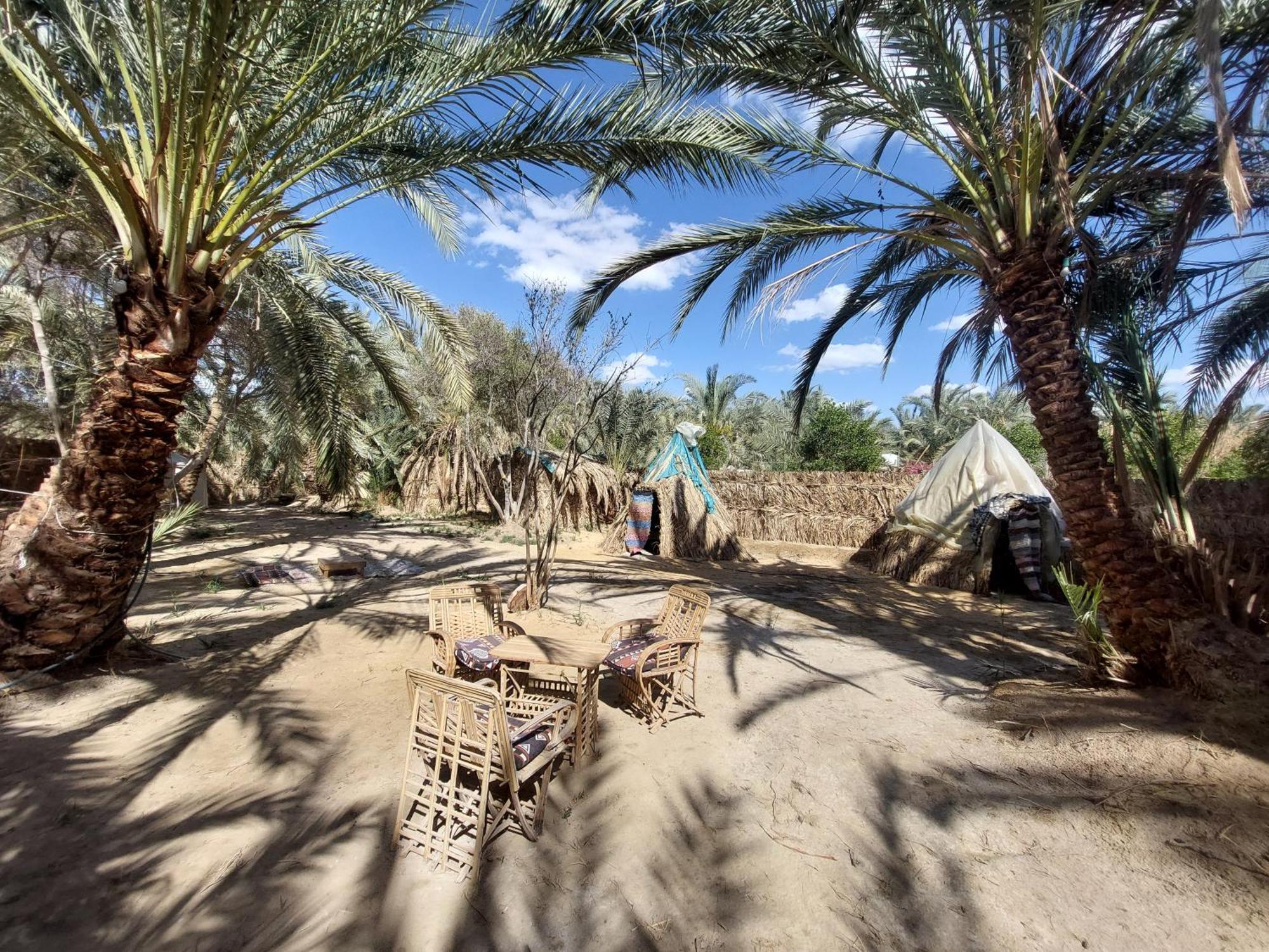 Forest Camp Siwa - كامب الغابة Siwa Oasis Extérieur photo