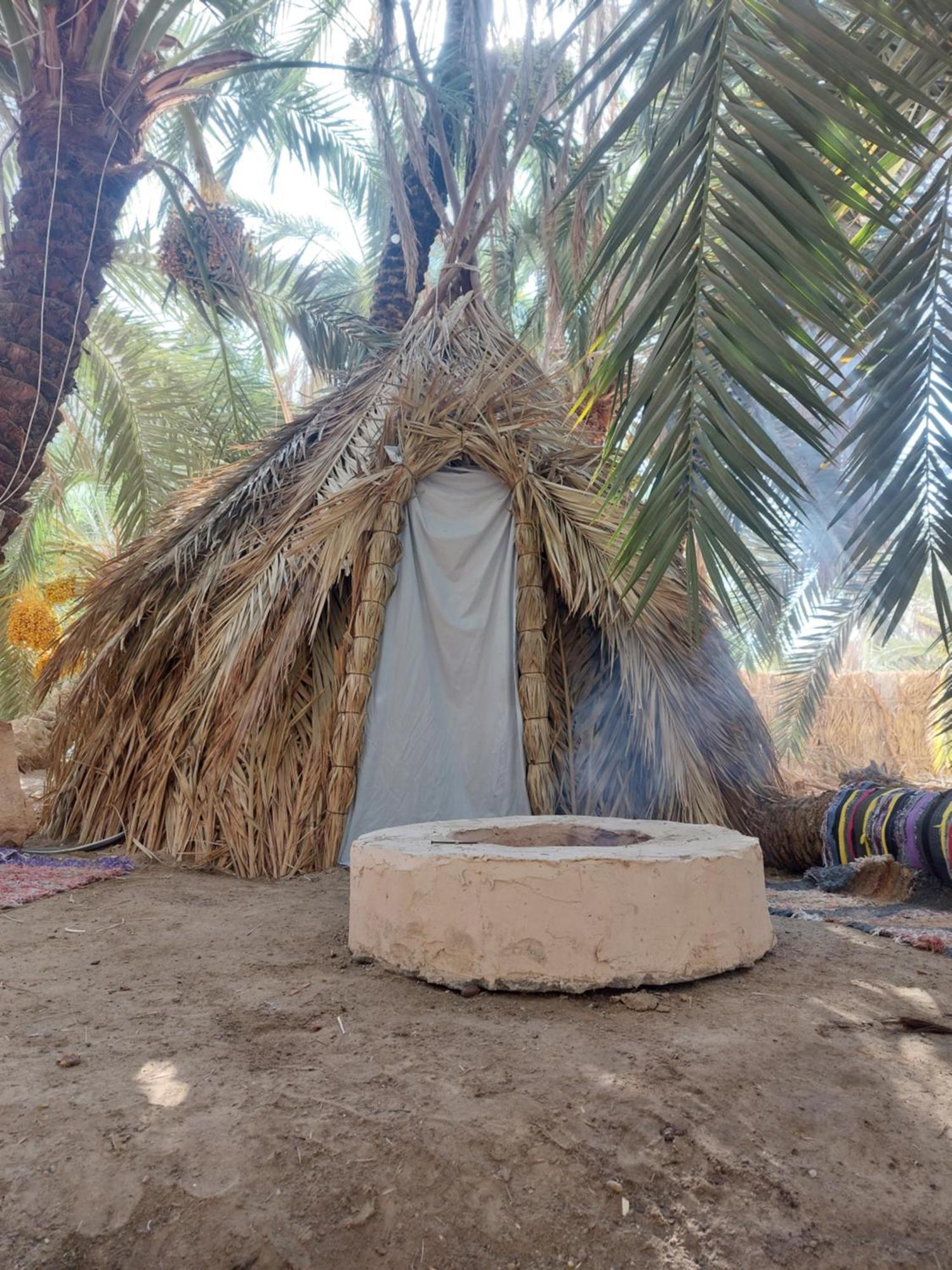 Forest Camp Siwa - كامب الغابة Siwa Oasis Extérieur photo