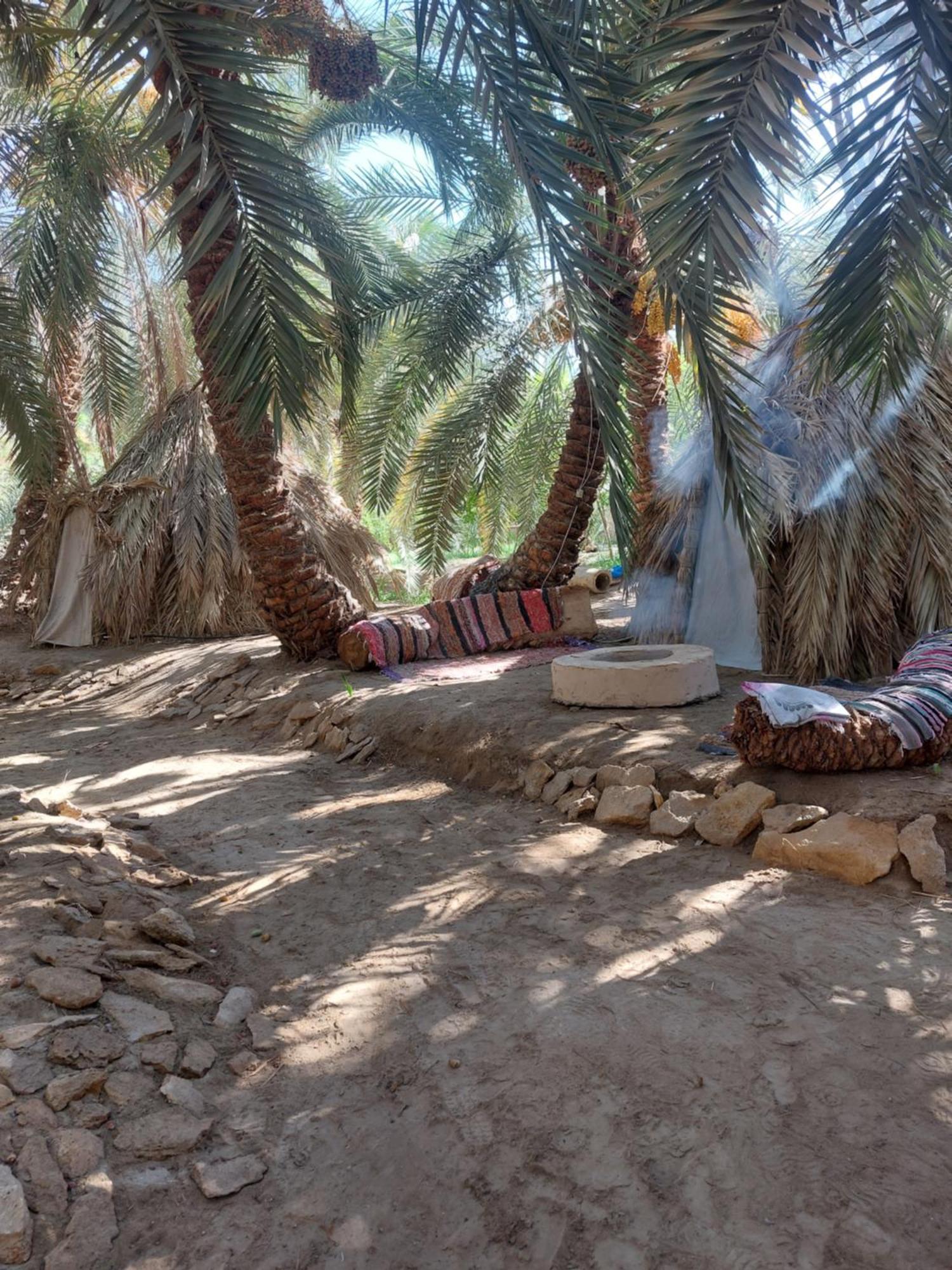 Forest Camp Siwa - كامب الغابة Siwa Oasis Extérieur photo