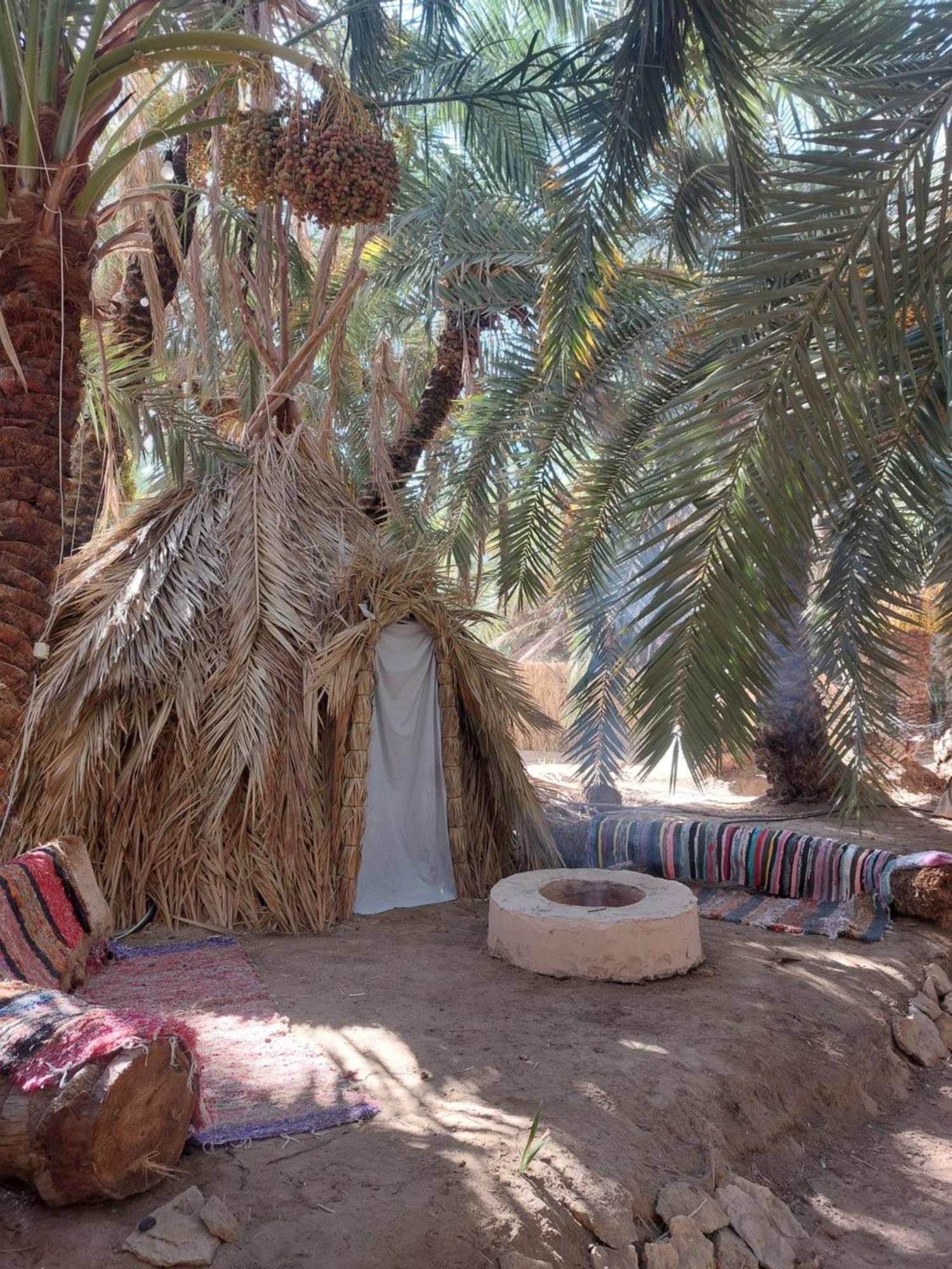 Forest Camp Siwa - كامب الغابة Siwa Oasis Extérieur photo