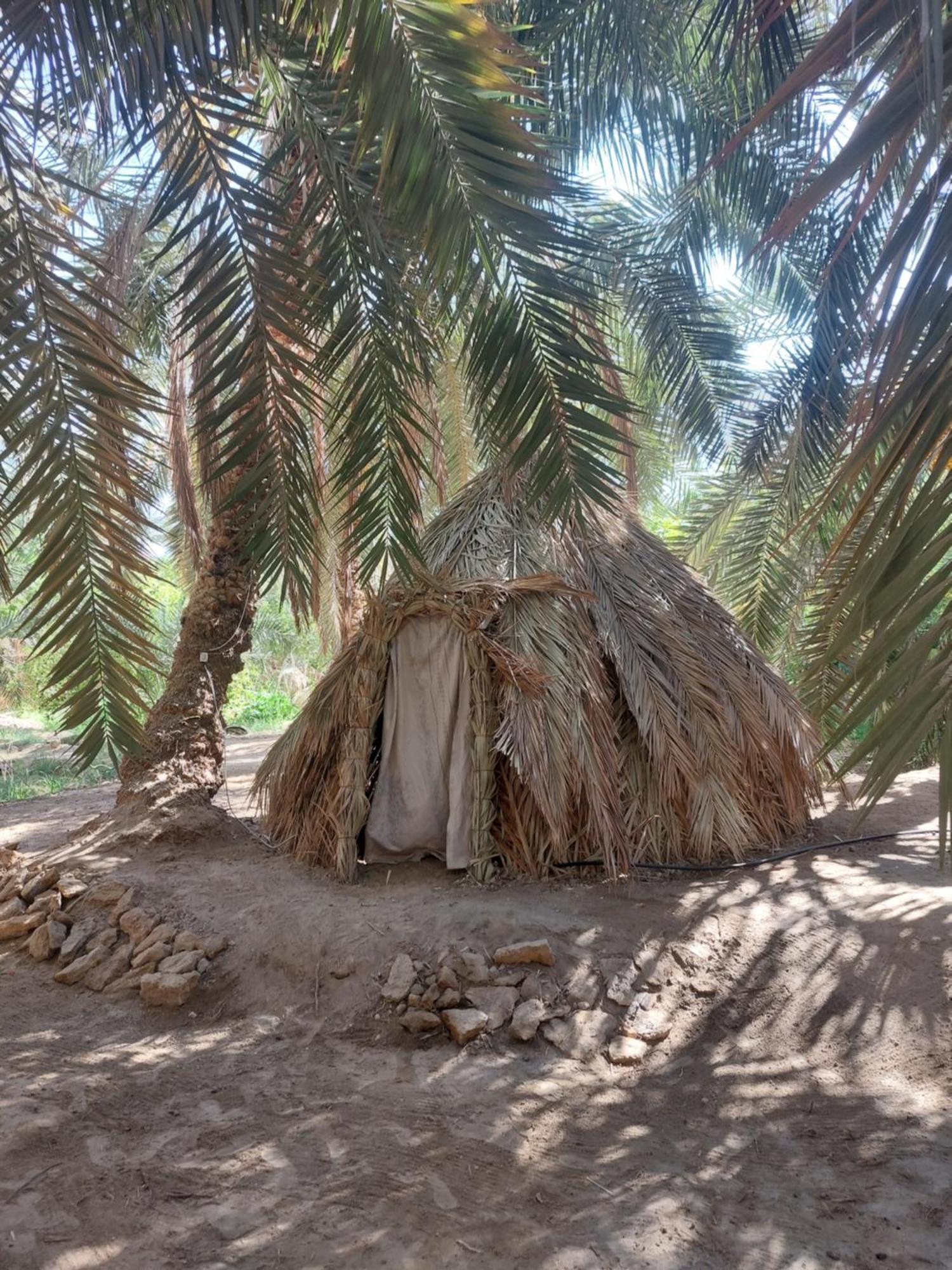 Forest Camp Siwa - كامب الغابة Siwa Oasis Extérieur photo