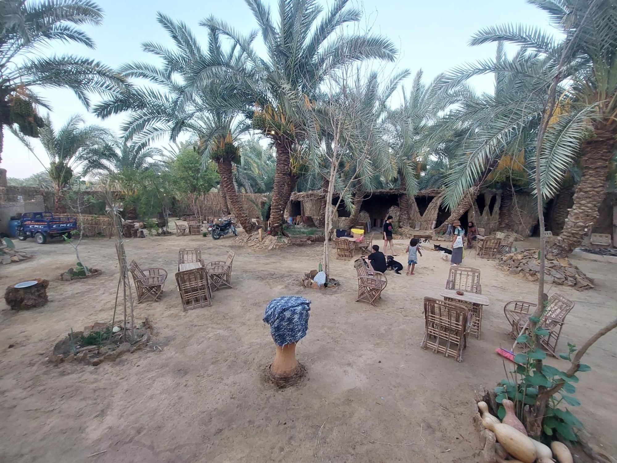 Forest Camp Siwa - كامب الغابة Siwa Oasis Extérieur photo