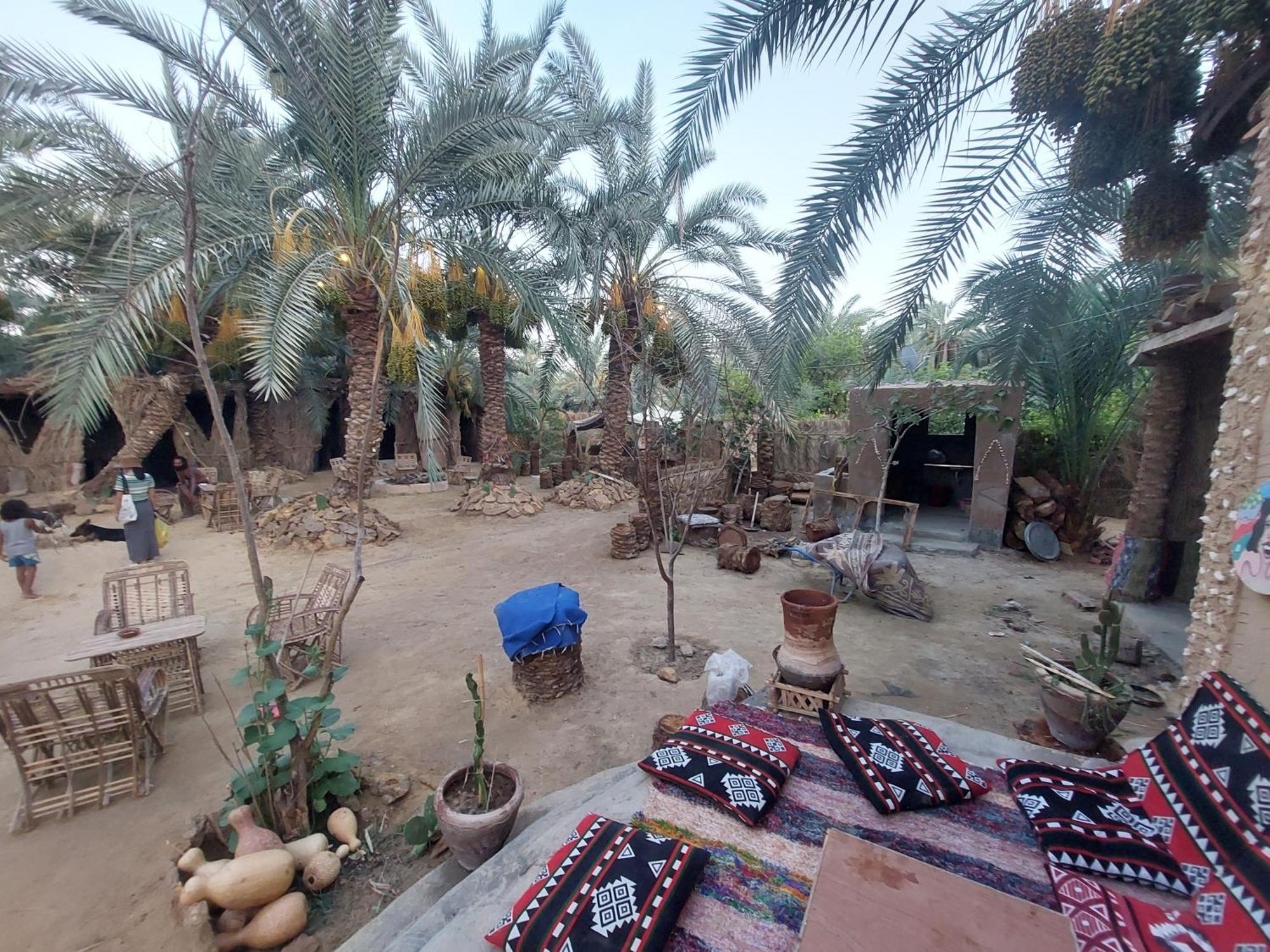 Forest Camp Siwa - كامب الغابة Siwa Oasis Extérieur photo