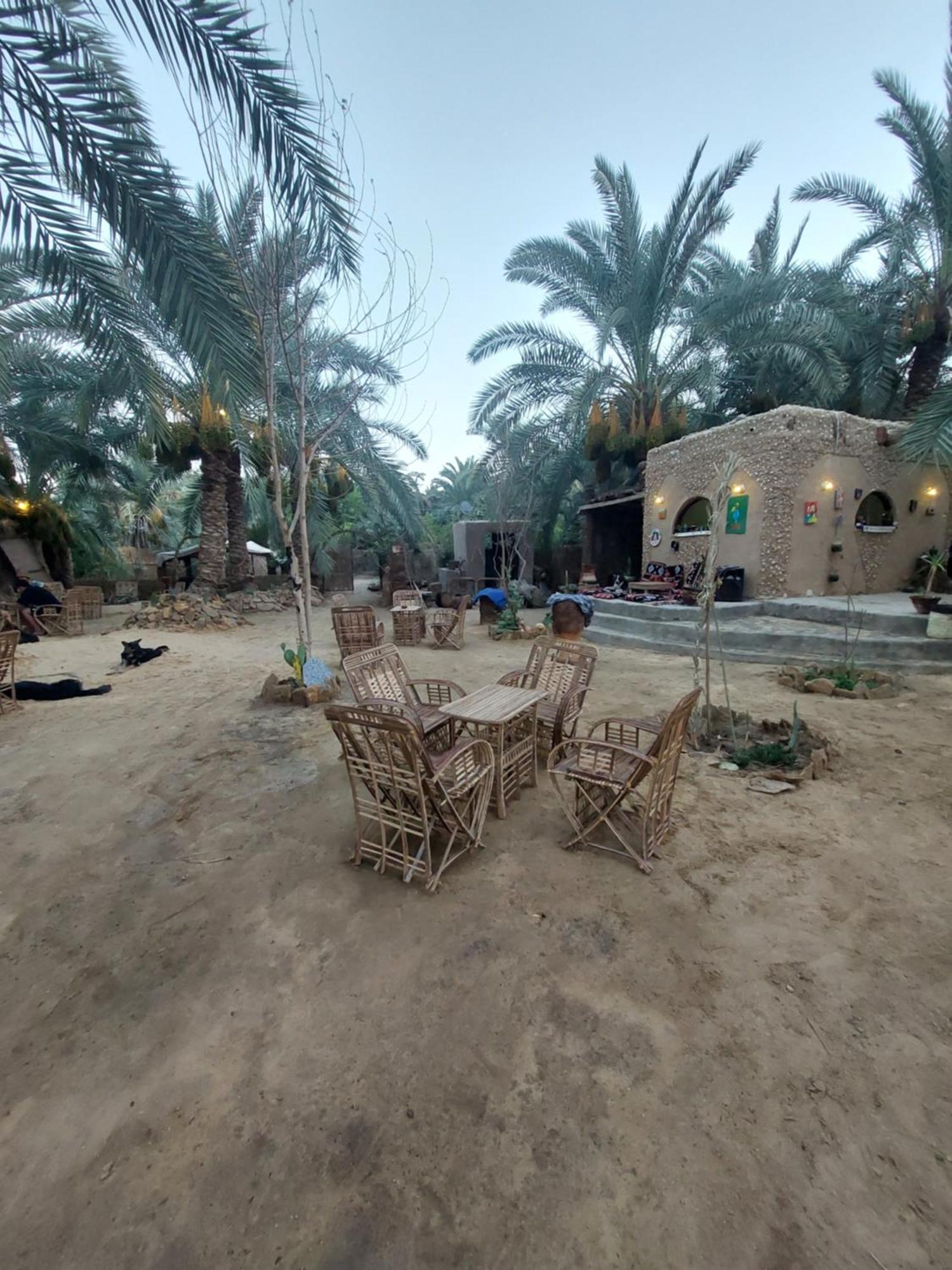 Forest Camp Siwa - كامب الغابة Siwa Oasis Extérieur photo