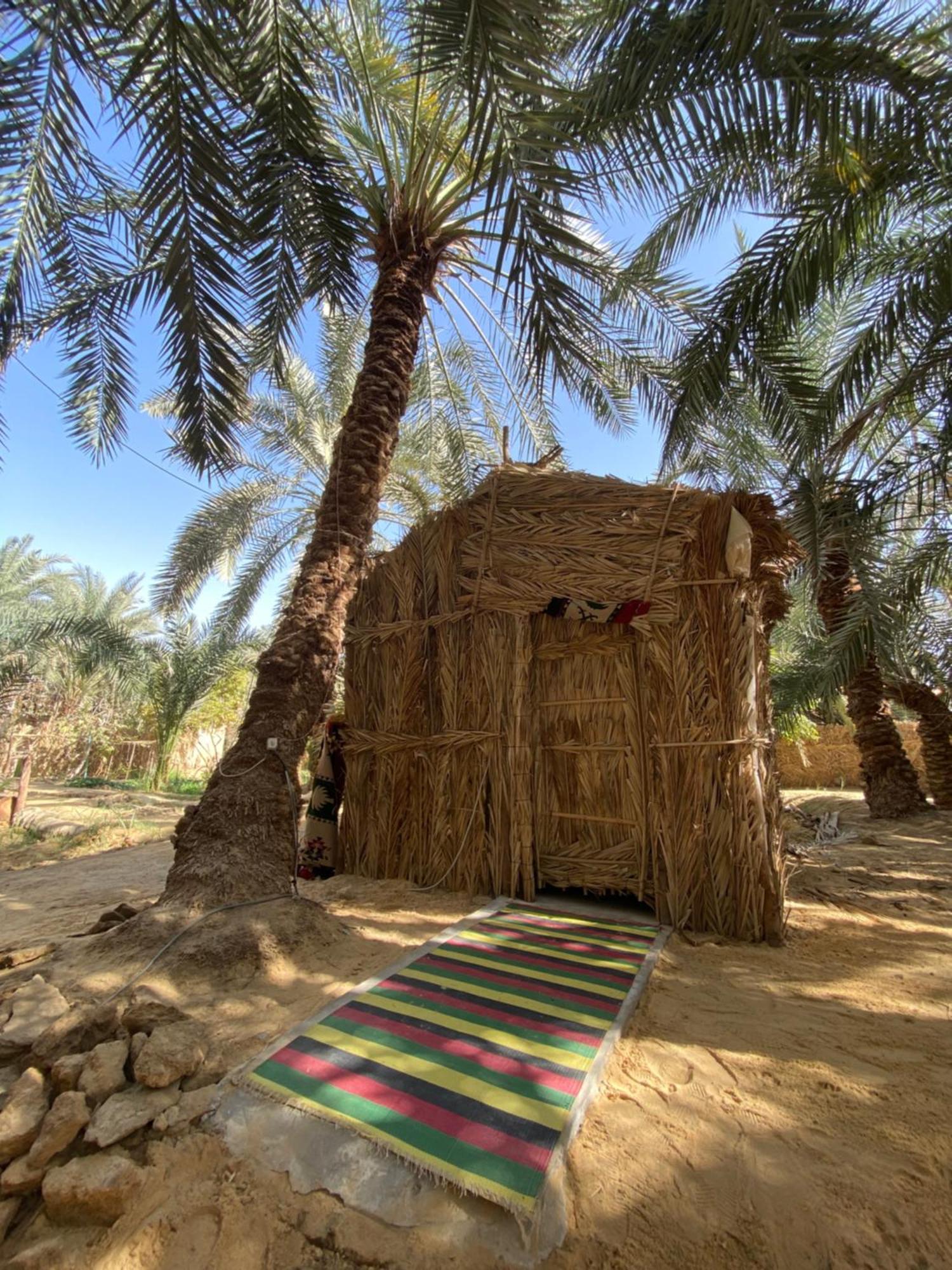 Forest Camp Siwa - كامب الغابة Siwa Oasis Extérieur photo
