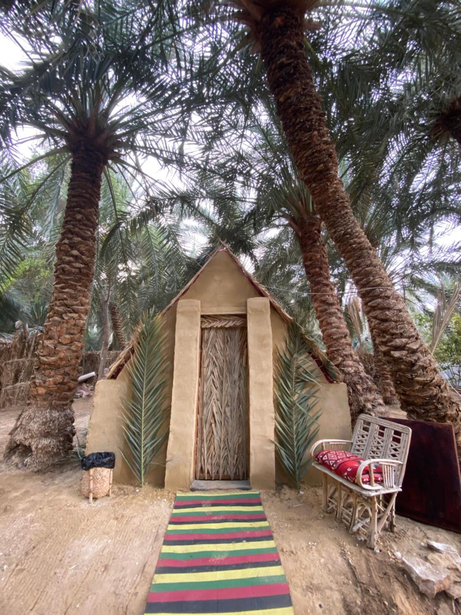 Forest Camp Siwa - كامب الغابة Siwa Oasis Extérieur photo