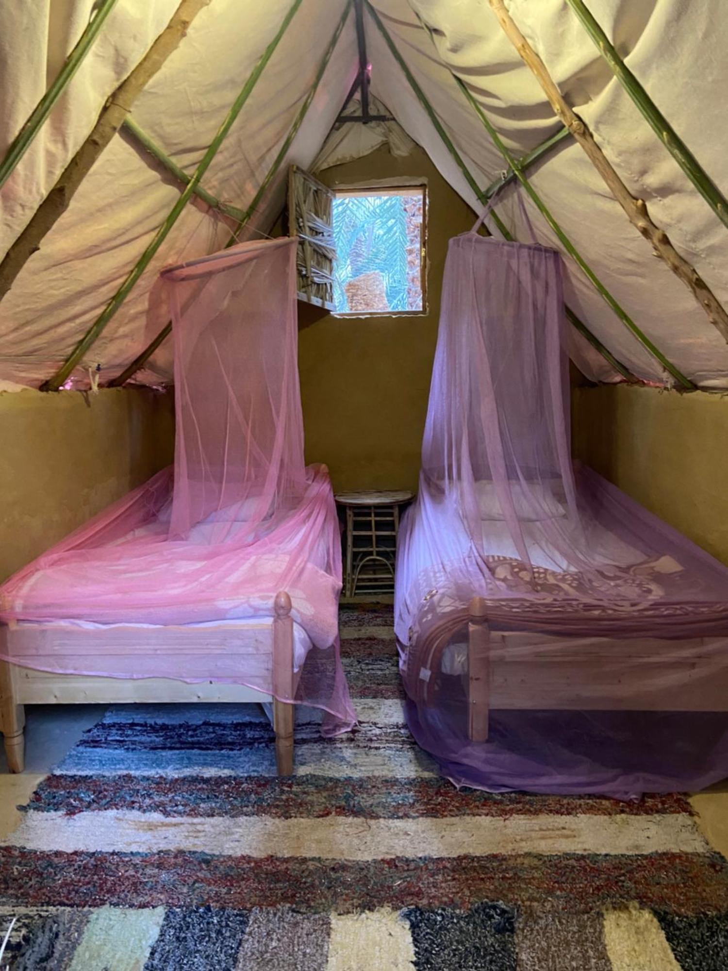 Forest Camp Siwa - كامب الغابة Siwa Oasis Extérieur photo