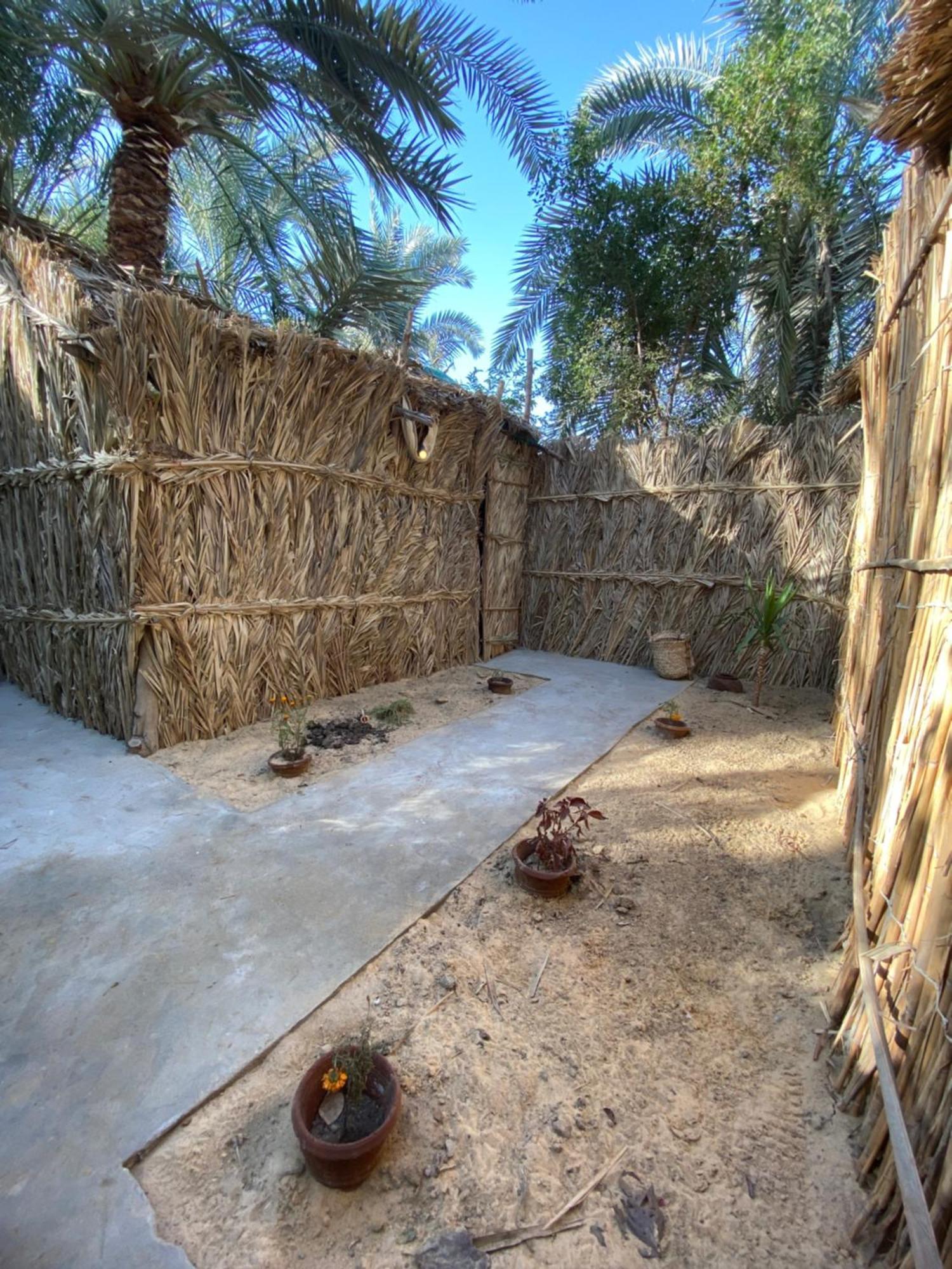 Forest Camp Siwa - كامب الغابة Siwa Oasis Extérieur photo