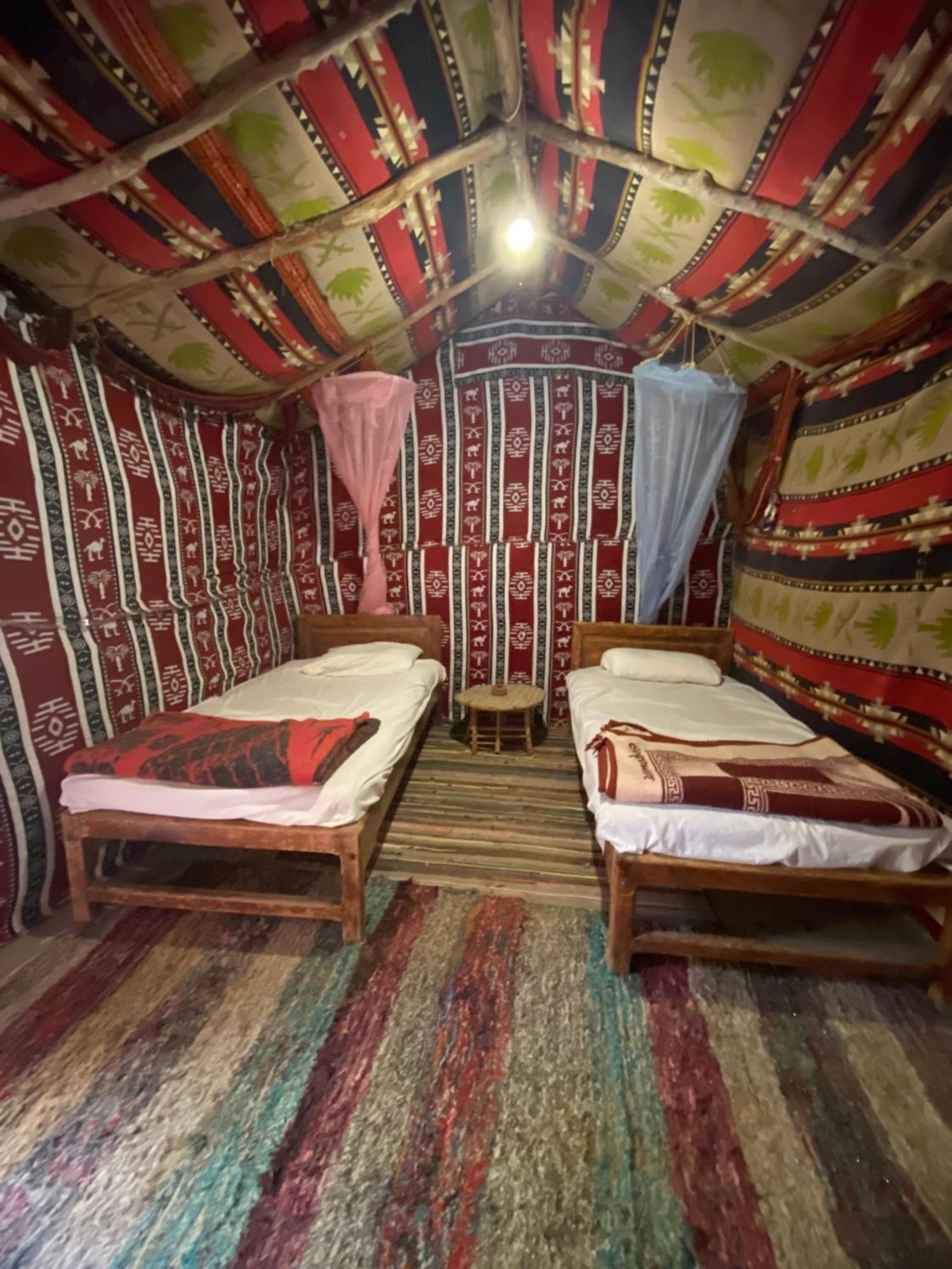 Forest Camp Siwa - كامب الغابة Siwa Oasis Extérieur photo