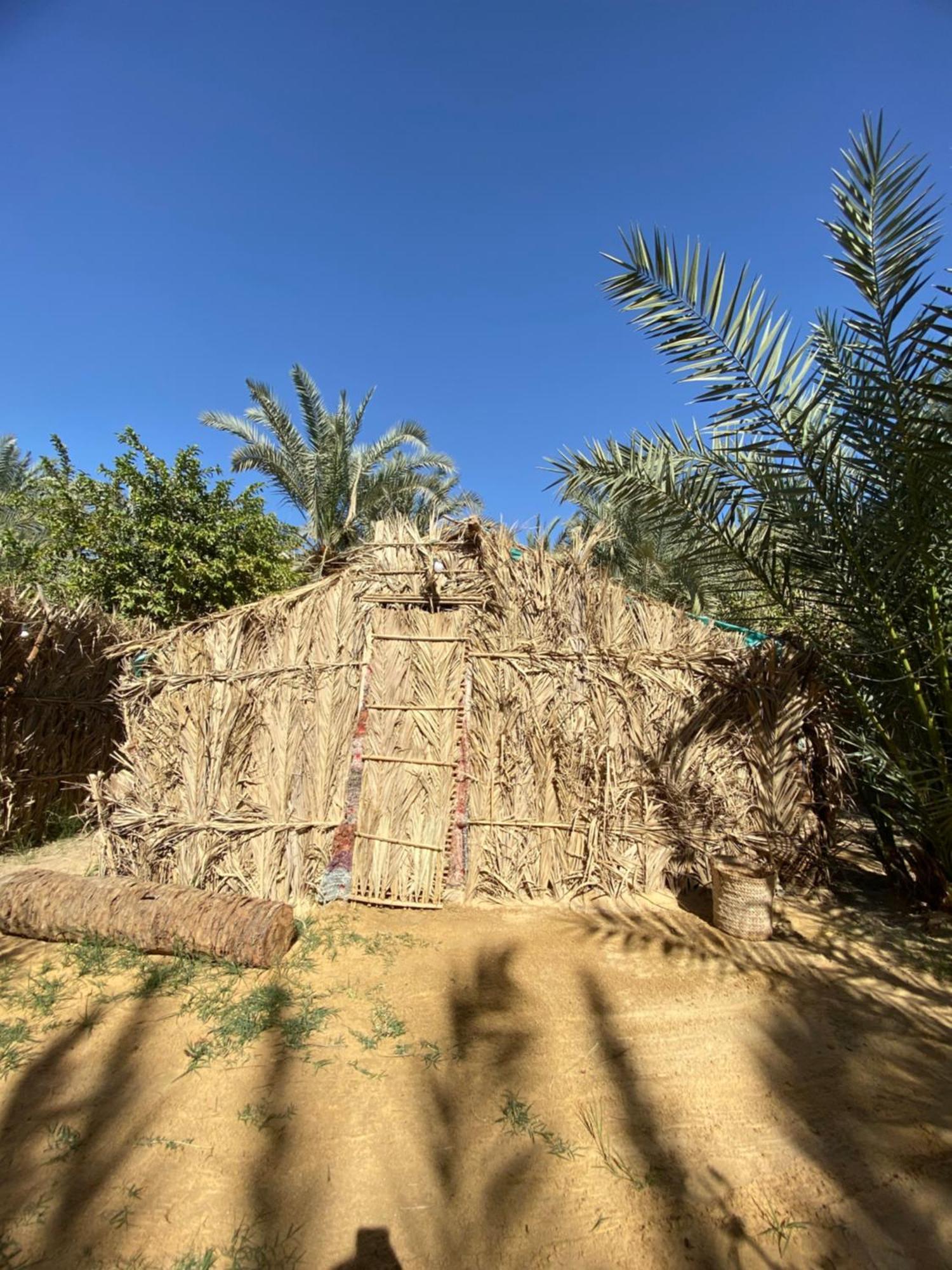 Forest Camp Siwa - كامب الغابة Siwa Oasis Extérieur photo