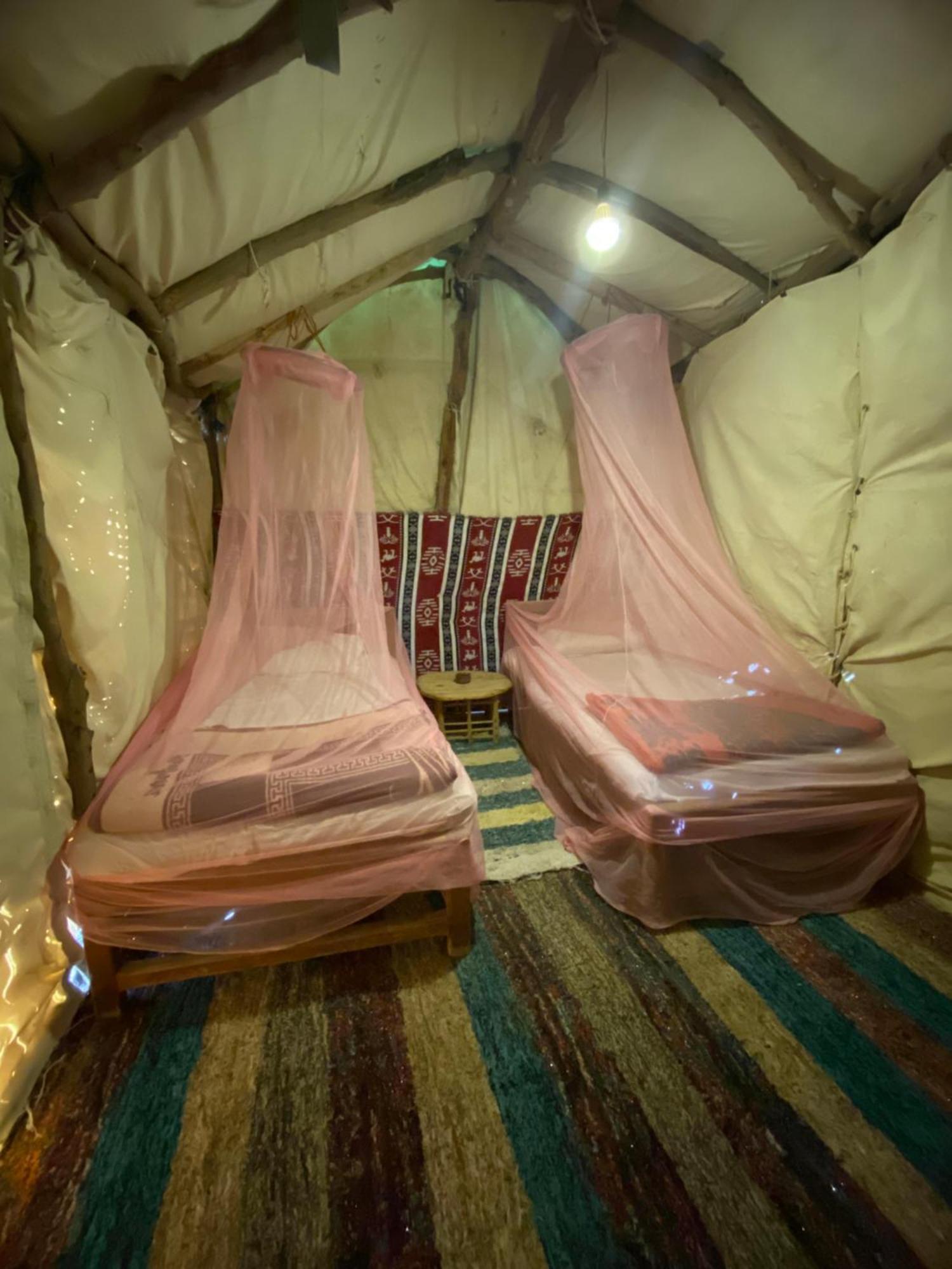 Forest Camp Siwa - كامب الغابة Siwa Oasis Extérieur photo